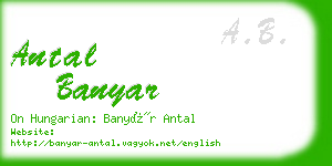 antal banyar business card